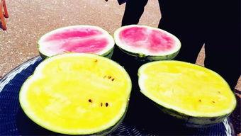 17吃瓜爆料今日大瓜,今日大瓜揭秘，娱乐圈风云再起！